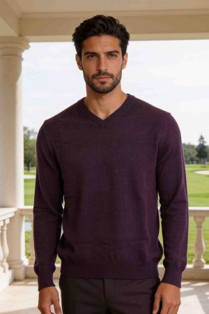 Royal Plum V-Neck Knit